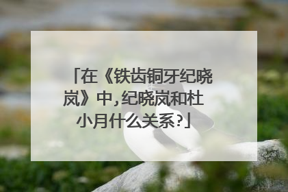 在《铁齿铜牙纪晓岚》中,纪晓岚和杜小月什么关系?