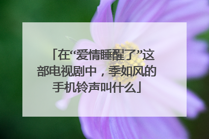 在“爱情睡醒了”这部电视剧中，季如风的手机铃声叫什么