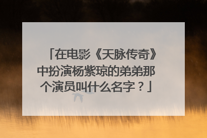 在电影《天脉传奇》中扮演杨紫琼的弟弟那个演员叫什么名字？