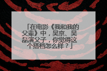 在电影《我和我的父辈》中，吴京、吴磊演父子，你觉得这个搭档怎么样？