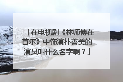 在电视剧《林师傅在首尔》中饰演朴善美的演员叫什么名字啊?