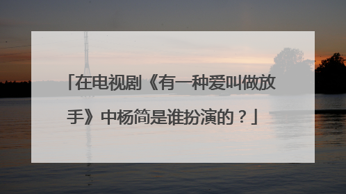 在电视剧《有一种爱叫做放手》中杨简是谁扮演的？