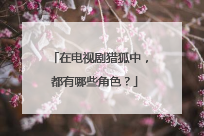 在电视剧猎狐中，都有哪些角色？