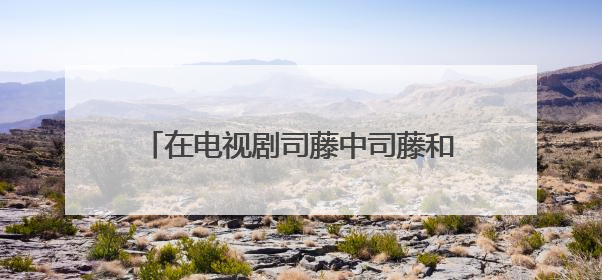 在电视剧司藤中司藤和秦放有血缘关系，这种情况还能不能在一起？