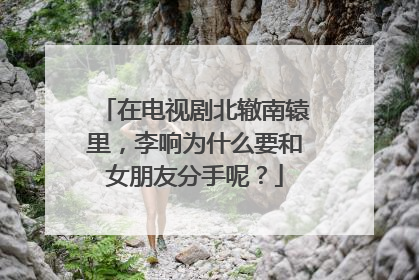 在电视剧北辙南辕里，李响为什么要和女朋友分手呢？