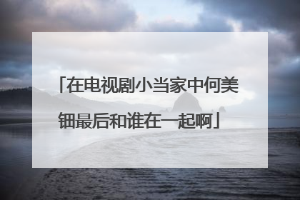 在电视剧小当家中何美钿最后和谁在一起啊