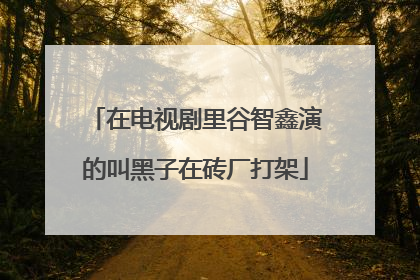 在电视剧里谷智鑫演的叫黑子在砖厂打架