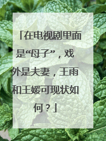 在电视剧里面是“母子”,戏外是夫妻,王雨和王媛可现状如何?