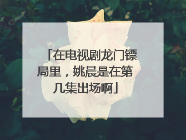 在电视剧龙门镖局里,姚晨是在第几集出场啊
