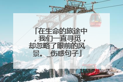 在生命的旅途中,我们一直寻觅,却忽略了眼前的风景。_伤感句子