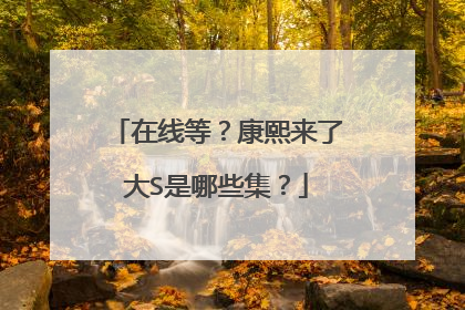 在线等?康熙来了大S是哪些集?