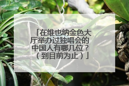 在维也纳金色大厅举办过独唱会的中国人有哪几位?(到目前为止)