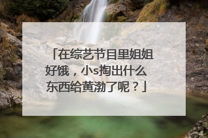 在综艺节目里姐姐好饿，小s掏出什么东西给黄渤了呢？