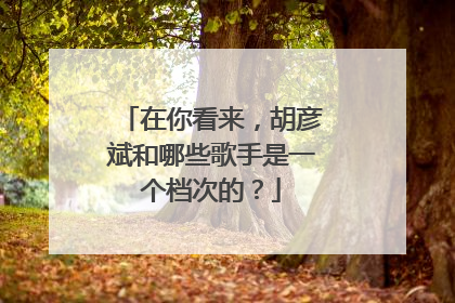 在你看来，胡彦斌和哪些歌手是一个档次的？