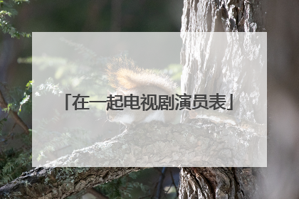 在一起电视剧演员表