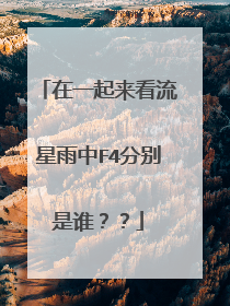 在一起来看流星雨中F4分别是谁??