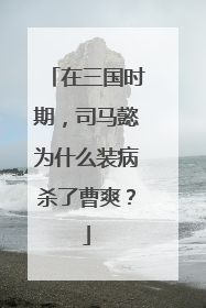 在三国时期，司马懿为什么装病杀了曹爽？