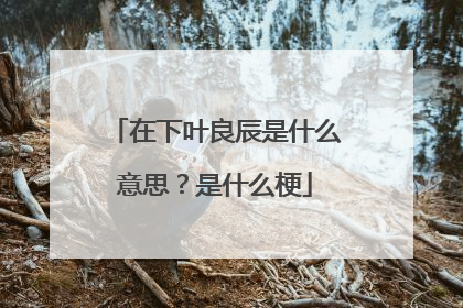 在下叶良辰是什么意思？是什么梗