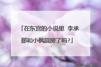 在东宫的小说里 李承鄞和小枫圆房了吗?