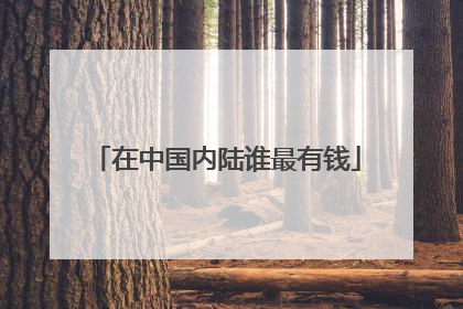 在中国内陆谁最有钱