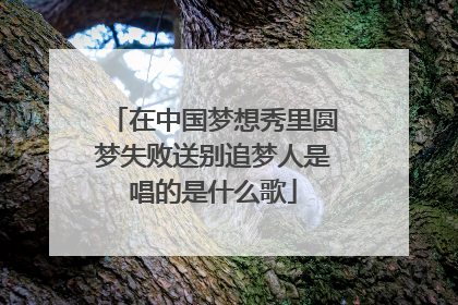 在中国梦想秀里圆梦失败送别追梦人是唱的是什么歌