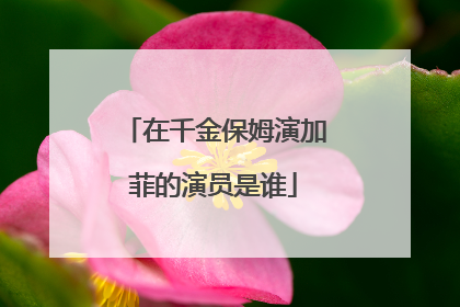 在千金保姆演加菲的演员是谁