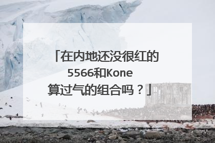 在内地还没很红的5566和Kone算过气的组合吗？