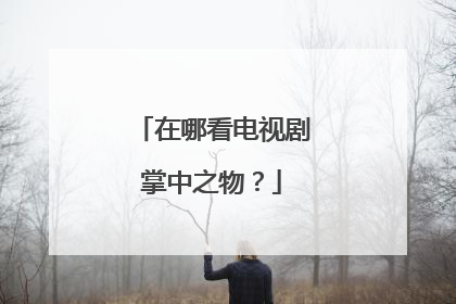 在哪看电视剧掌中之物？
