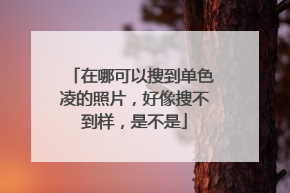 在哪可以搜到单色凌的照片,好像搜不到样,是不是
