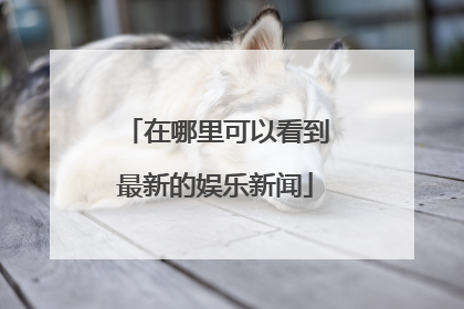 在哪里可以看到最新的娱乐新闻