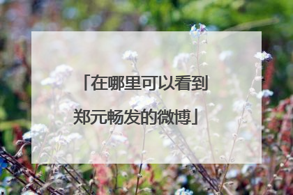 在哪里可以看到郑元畅发的微博
