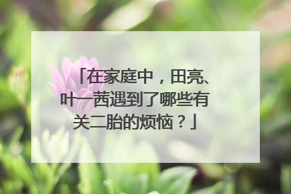 在家庭中,田亮、叶一茜遇到了哪些有关二胎的烦恼?