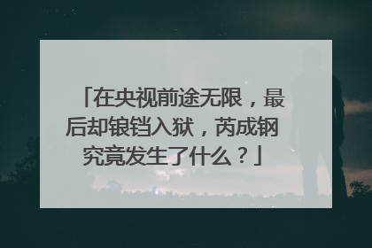 在央视前途无限，最后却锒铛入狱，芮成钢究竟发生了什么？