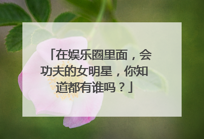 在娱乐圈里面,会功夫的女明星,你知道都有谁吗?