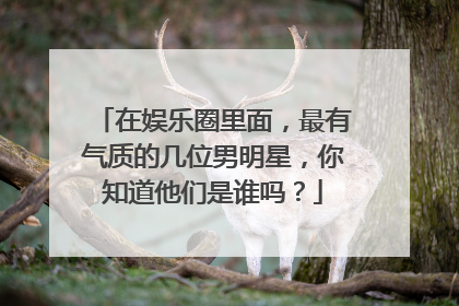 在娱乐圈里面,最有气质的几位男明星,你知道他们是谁吗?