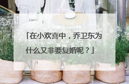 在小欢喜中,乔卫东为什么又非要复婚呢?