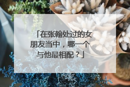 在张翰处过的女朋友当中,哪一个与他最相配?