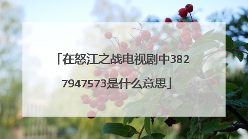 在怒江之战电视剧中3827947573是什么意思