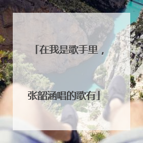 在我是歌手里，张韶涵唱的歌有