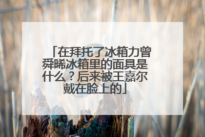 在拜托了冰箱力曾舜晞冰箱里的面具是什么？后来被王嘉尔戴在脸上的