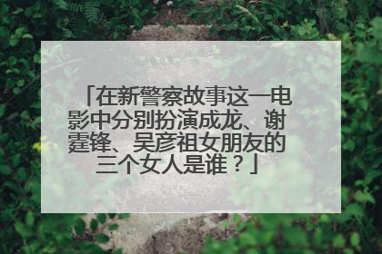 在新警察故事这一电影中分别扮演成龙、谢霆锋、吴彦祖女朋友的三个女人是谁？