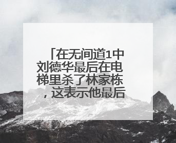 在无间道1中刘德华最后在电梯里杀了林家栋,这表示他最后变好人了吗?