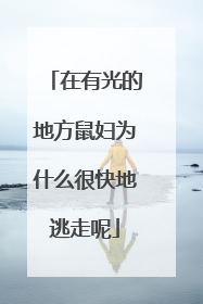 在有光的地方鼠妇为什么很快地逃走呢