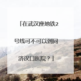 在武汉座地铁2号线可不可以到同济汉口医院？