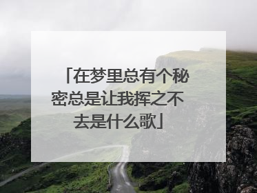 在梦里总有个秘密总是让我挥之不去是什么歌
