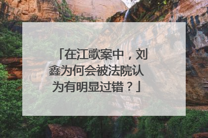在江歌案中，刘鑫为何会被法院认为有明显过错？