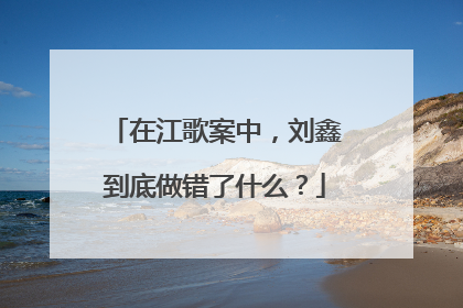 在江歌案中，刘鑫到底做错了什么？