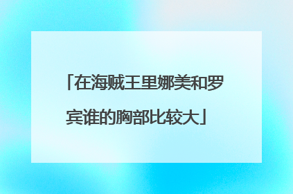 在海贼王里娜美和罗宾谁的胸部比较大