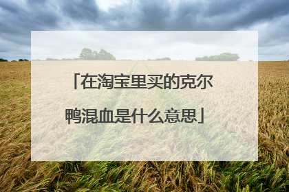 在淘宝里买的克尔鸭混血是什么意思