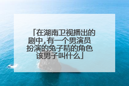 在湖南卫视播出的剧中,有一个男演员扮演的兔子精的角色该男子叫什么